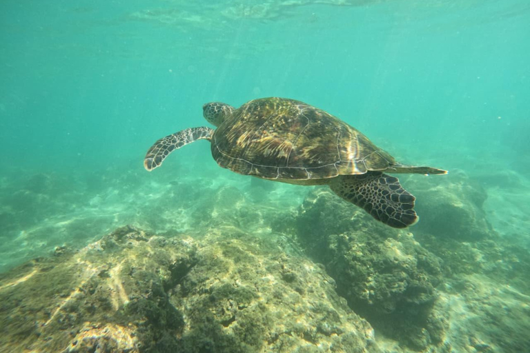 SH Snorkeling Club Mirissa
