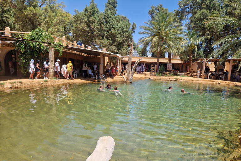 From Djerba: Oasis, Sunset in the Desert Dunes & Dinner in a 4x4 From Djerba: Oasis, sunset in the desert dunes & dinner in a 4x4