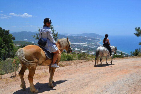 Alanya: Horseback Riding in Alanya – A Ride through Nature Alanya: Horseback Riding in Alanya – Ride through Nature