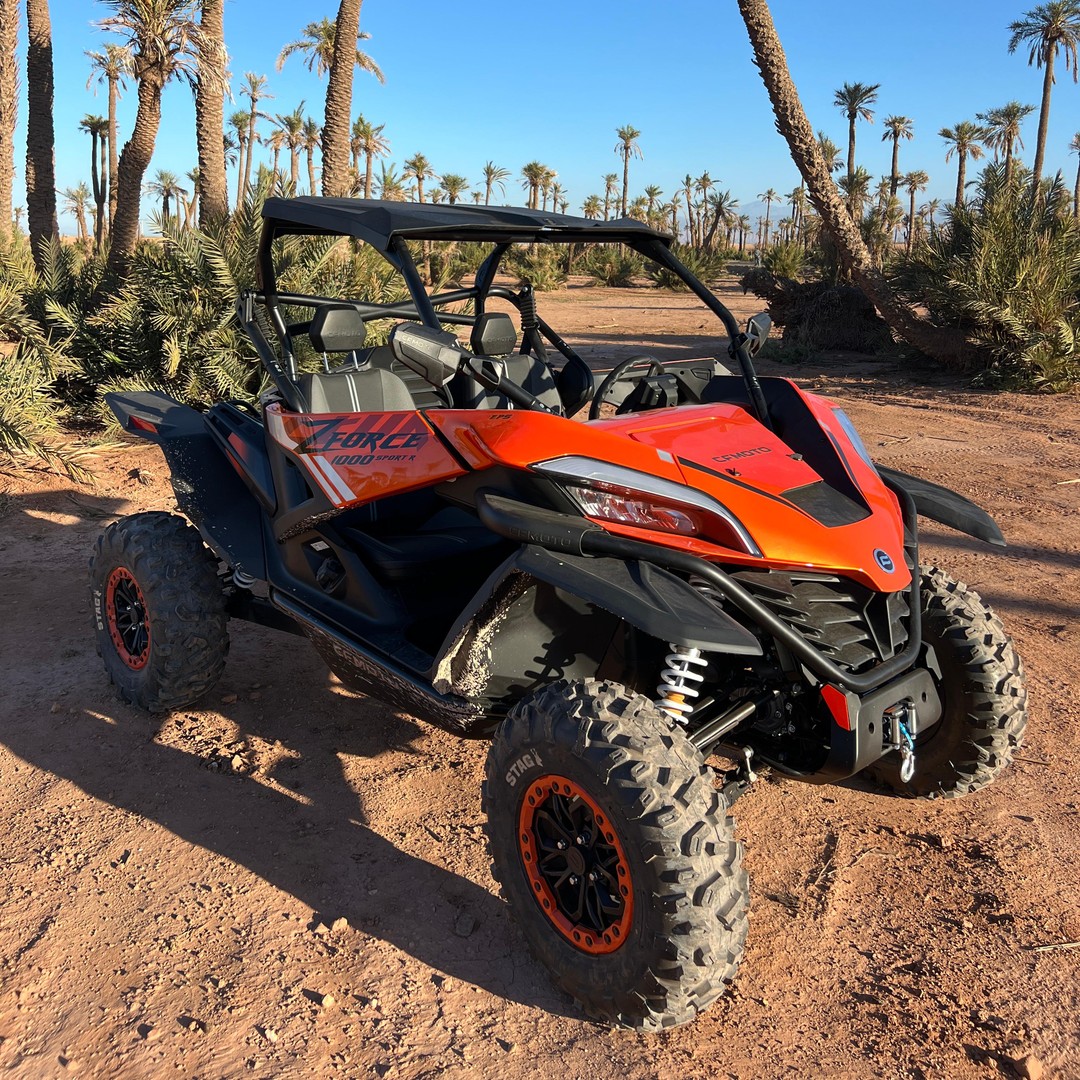 Marrakech : Excursion dans la palmeraie et le désert de jbilat en buggy 1000cc - buggy