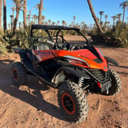 Marrakech Palm Grove and Jbilat Desert Buggy 1000cc Tour