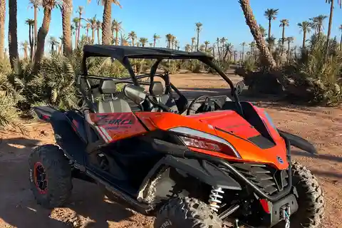 Марракеш : Пальмовая роща и джбилат Пустыня Багги 1000cc Тур