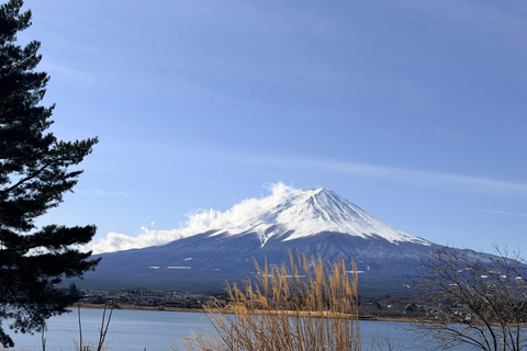 Tokyo: Private Daytrip to Mount Fuji - Fully Customizable Mt Fuji Private Luxury Van Tour (Customizable Experience)