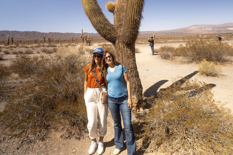 Cachi: Ruta Escénica y Experiencia Local desde Salta