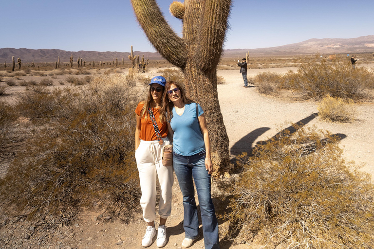 Cachi: Ruta Escénica y Experiencia Local desde Salta