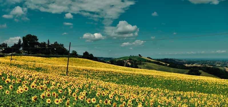 From Milan: Private Tour to Certosa & Oltrepò with Tasting