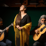 Porto: concerto di fado autentico con vino Porto e vista