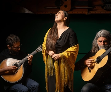 Porto: The Authentic Fado Concert with Port Wine
