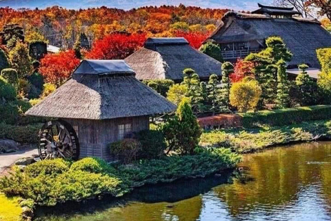 Visite guidée privée du Mont Fuji et de Hakone