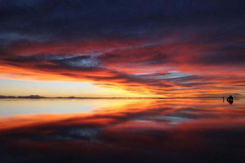 Uyuni Salt Flat: Starry night tour:1 day
