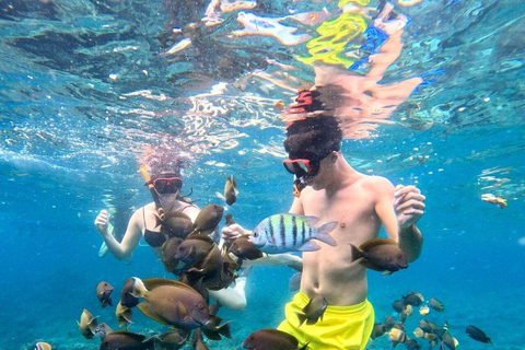 Bali: Nusa Penida Snorkeling and Island Tour with Lunch