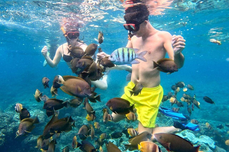 Bali: Nusa Penida Snorkeling and Island Tour with Lunch