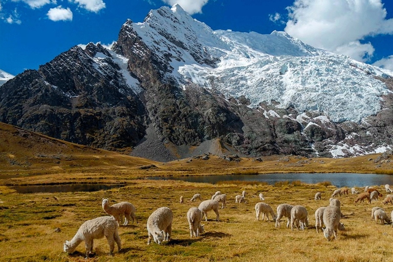 Von Cusco: 7 Lagunen-Ausangate ganztägig |privater Service|