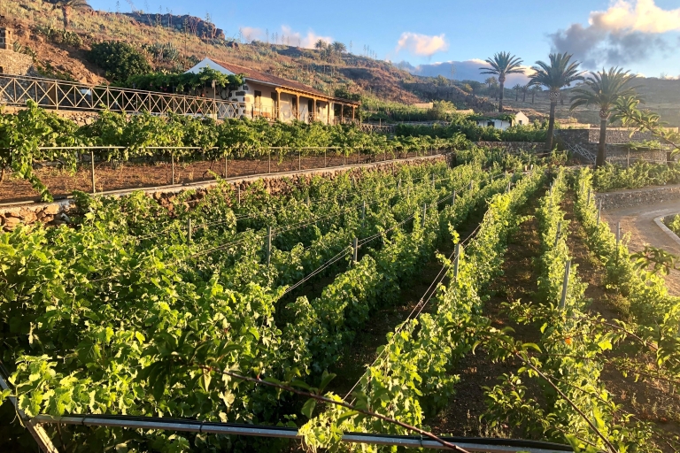 La Gomera: Bezoek aan een wijnmakerij en proeverij