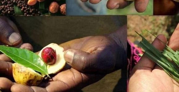 Zanzibar: Spice Tour & Stone Town Walking Tour