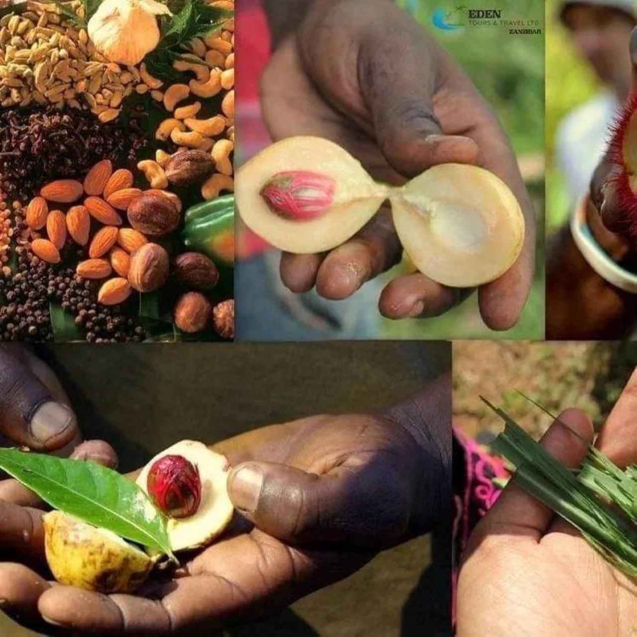 Spice farm and Stone Town walking tour — product photo 1 from GetYourGuide