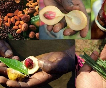 Zanzibar: Spice Tour & Stone Town Walking Tour