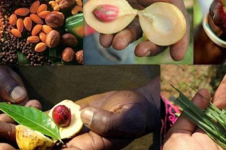 Zanzibar: Wycieczka piesza po Kamiennym Mieście + Wyspa Więzienna i przyprawy