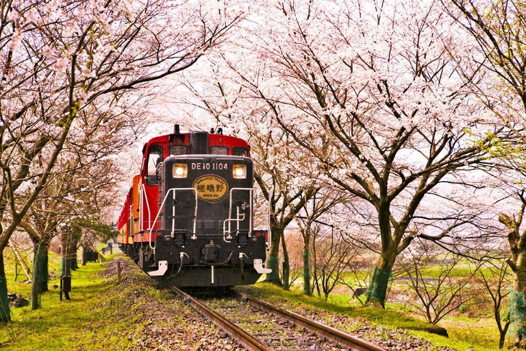 من أوساكا: جولة ليوم واحد في كيوتو ونارا وفوشيمي إناري وأراشياماTrip including Sagano Romantic Train