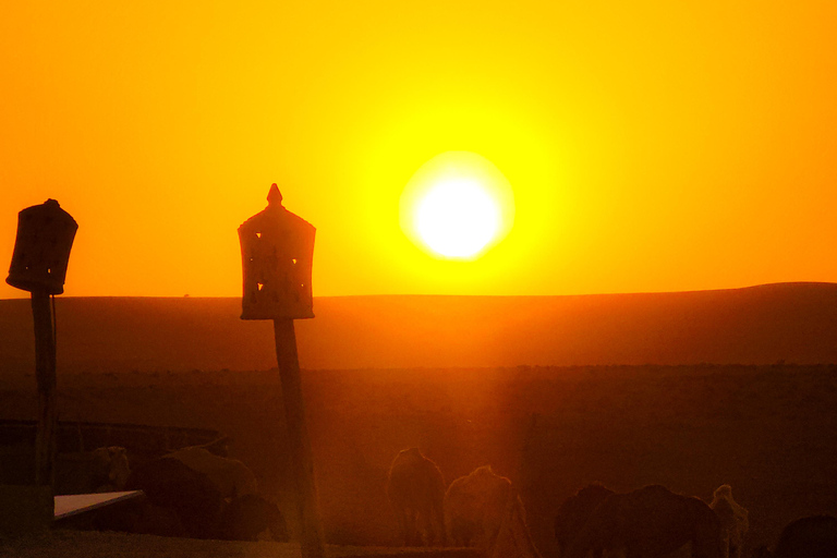 Marrakech Desert: Pool, Quad Biking, Sunset Dinner Fire Show