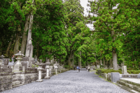 Från Osaka/Kyoto: Mount Koya &amp; Wakayama TourMed Nachi vattenfall