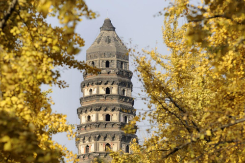 Suzhou Day Tour from Shanghai by High-Speed Train