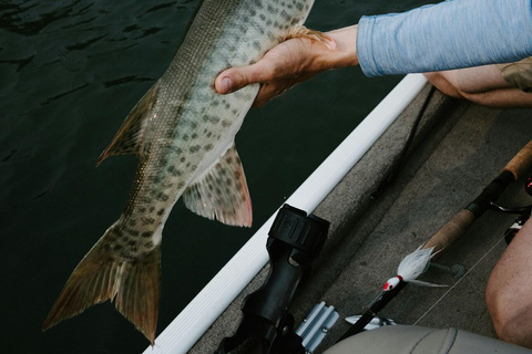 Yeda: Excursión de pesca deportivaJeddah: Viaje de pesca deportiva