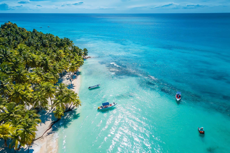 Punta Cana: Saona Island Day Trip with Lunch & Drinks