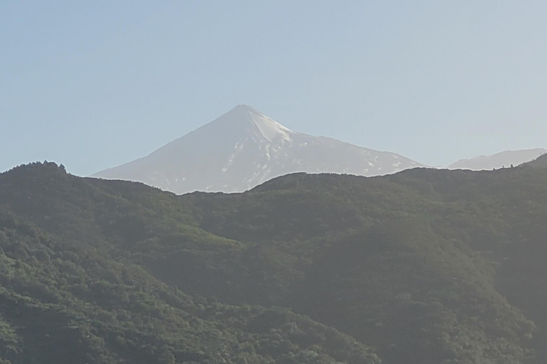 Teno: Circular hike from Erjos over the mountain ridge with views of Masca