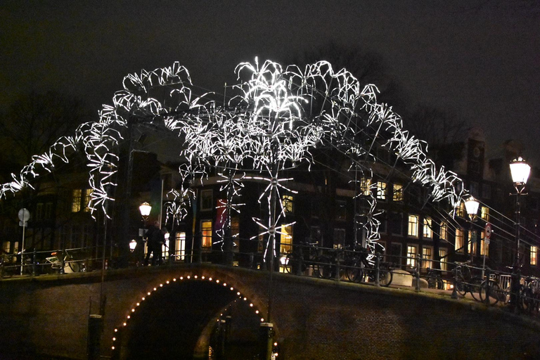 Amsterdam : Tour en bateau du festival des lumières avec collations et boissons