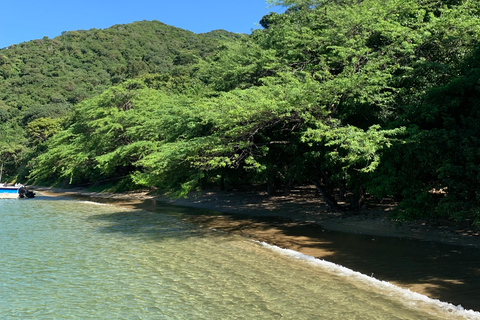 Transfer in Playa Cinto &amp; Playa Cristal