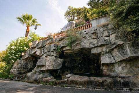 Nizza: Elektrischer Zug und sanfte Panoramafahrt durch Nizza