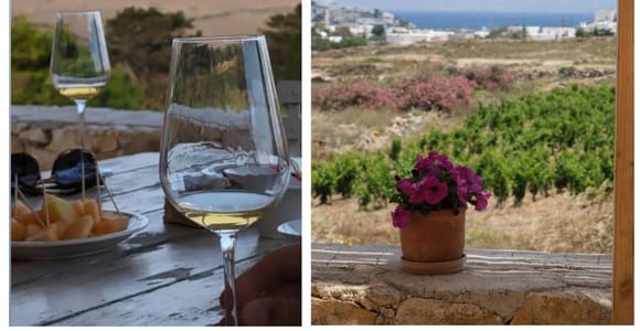 Paros: Wine tasting at Local Winery