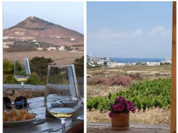 Paros: Wine tasting at Local Winery