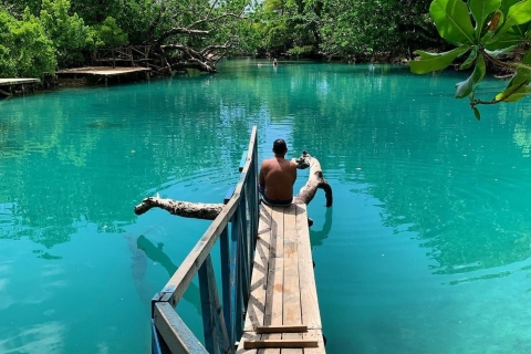 Port Vila: Blue Lagoon and Eden on the River Tour