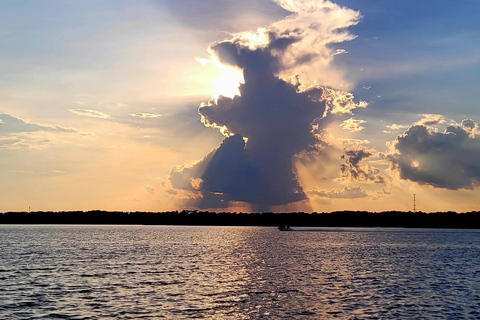 Savannah River Marsh : votre croisière inoubliable !