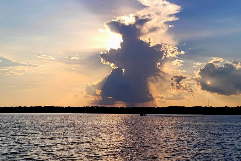 Pantano del río Savannah: ¡tu inolvidable aventura en crucero!