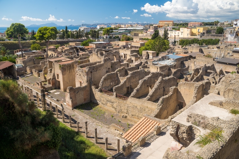 Naples : visite coupe-file de Herculanum avec un archéologueHerculanum : billet coupe-file avec guide en anglais