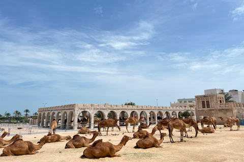 Visite guidée de la ville de Doha avec croisière sur un boutreVisite guidée en espagnol