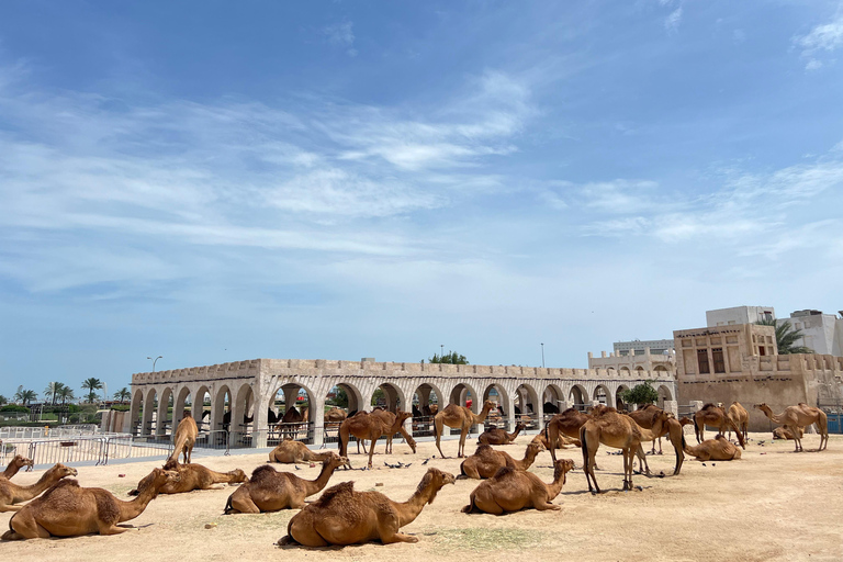 Tour guidato della città di Doha con crociera in dhow