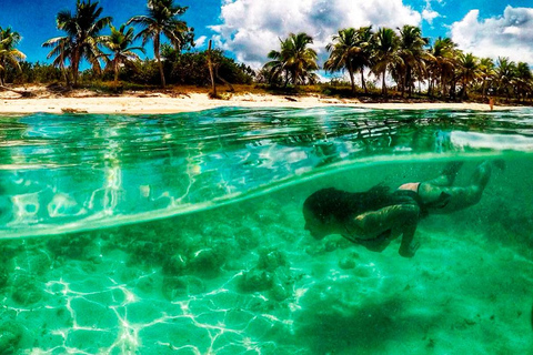 Catalina eiland en snorkeltour