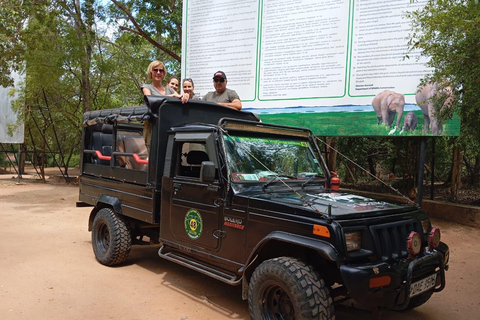 Minneriya: Morning Jeep Safari with Hotel Pickup and Drop-of