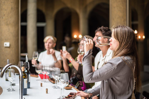 Viña Haras de Pirque Wine Experience