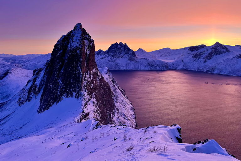 Tromsø: Snowshoe Hike on Senja to Hesten with Views of Segla From Tromsø: Snowshoe Hike to Hesten
