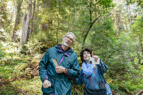 De São Francisco: Tour guiado em Muir Woods