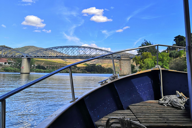 Porto: privétour door de Dourovallei met portproeverij en lunch