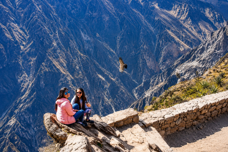 Arequipa: Colca Day Trip with Views & Condor