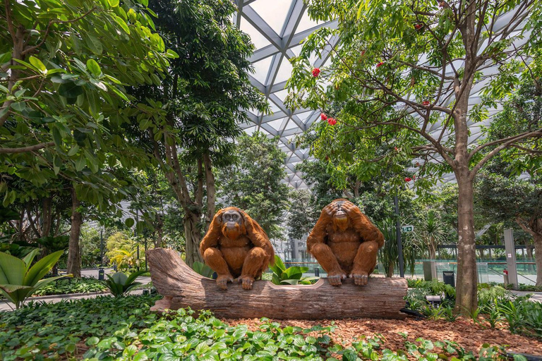 Jewel Changi Airport: Sky Nets Admission TicketBouncing Net and Canopy Park Entrance