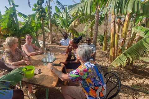 Assomada: wycieczka po farmie z lunchem i lekcją gotowania