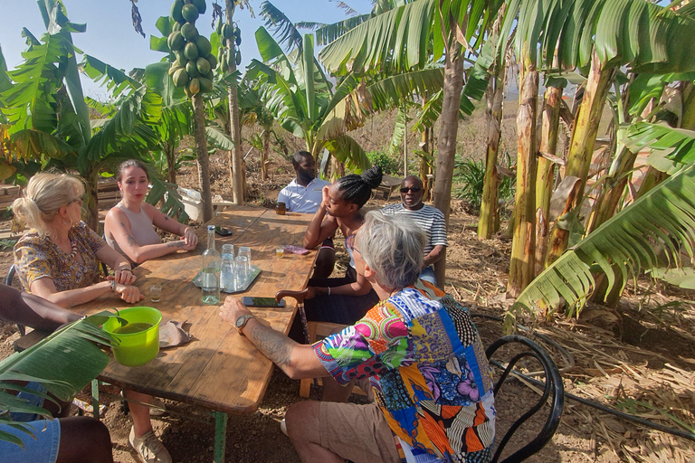 Assomada: wycieczka po farmie z lunchem i lekcją gotowania